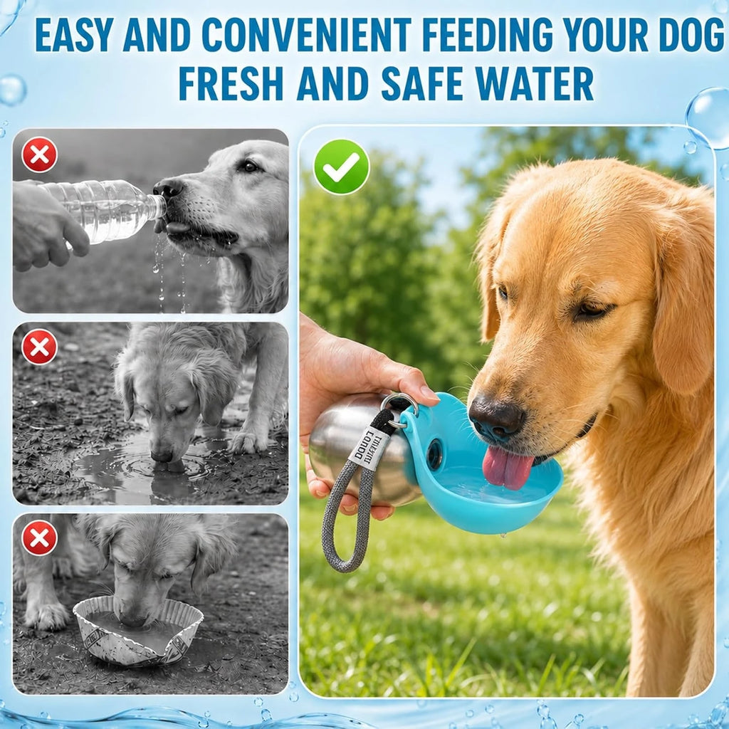 10Oz Stainless Steel Pet Travel Water Bottle with Foldable Bowl, Leakproof Portable Outdoor Drink Cup for Dogs Cats